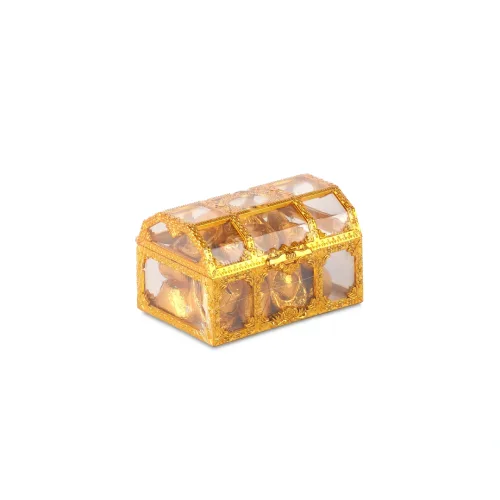 SALSA TREASURE BOX COIN